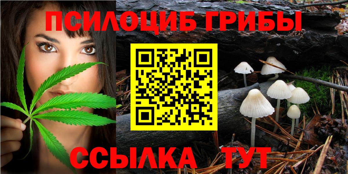 Псилоцибиновые грибы Cubensis  Вход с VPN  Нарткала 